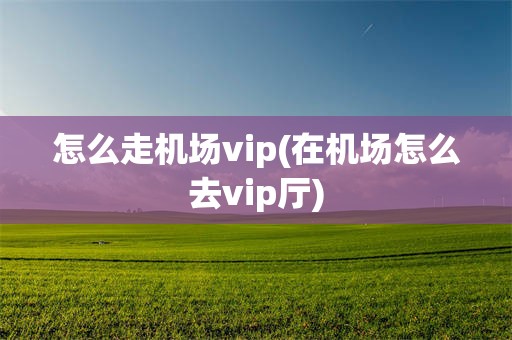 怎么走机场vip(在机场怎么去vip厅)