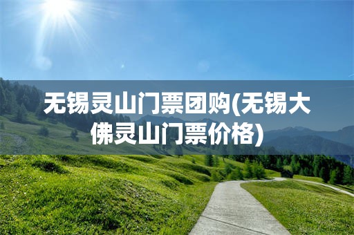 无锡灵山门票团购(无锡大佛灵山门票价格)