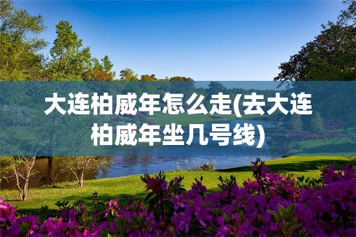 大连柏威年怎么走(去大连柏威年坐几号线)