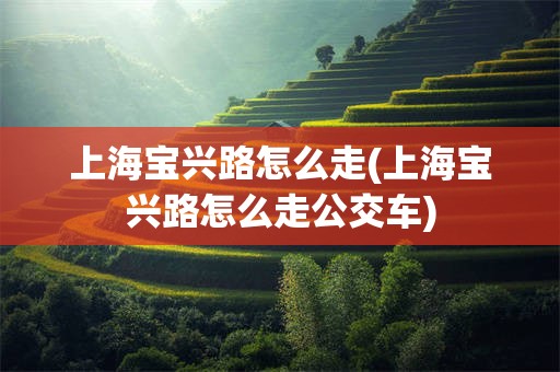 上海宝兴路怎么走(上海宝兴路怎么走公交车)
