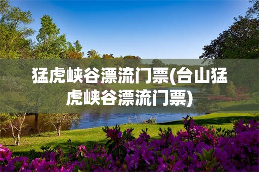 猛虎峡谷漂流门票(台山猛虎峡谷漂流门票)