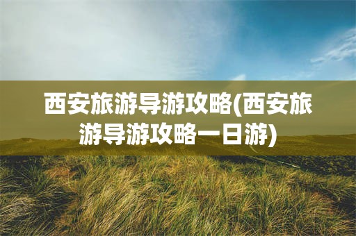 西安旅游导游攻略(西安旅游导游攻略一日游)