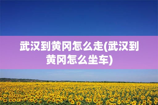 武汉到黄冈怎么走(武汉到黄冈怎么坐车)