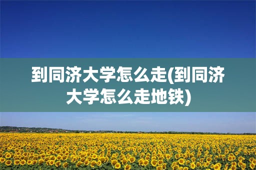 到同济大学怎么走(到同济大学怎么走地铁)