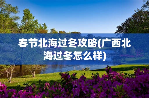 春节北海过冬攻略(广西北海过冬怎么样)