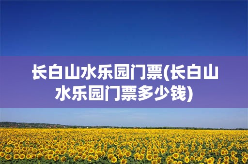 长白山水乐园门票(长白山水乐园门票多少钱)