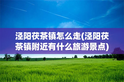 泾阳茯茶镇怎么走(泾阳茯茶镇附近有什么旅游景点)