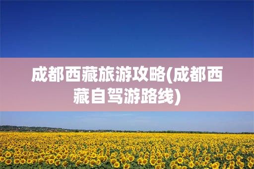 成都西藏旅游攻略(成都西藏自驾游路线)