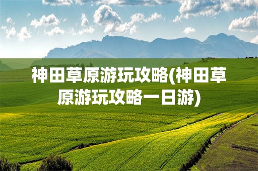 神田草原游玩攻略(神田草原游玩攻略一日游)