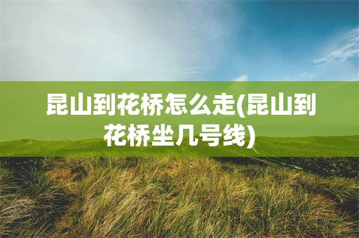 昆山到花桥怎么走(昆山到花桥坐几号线)