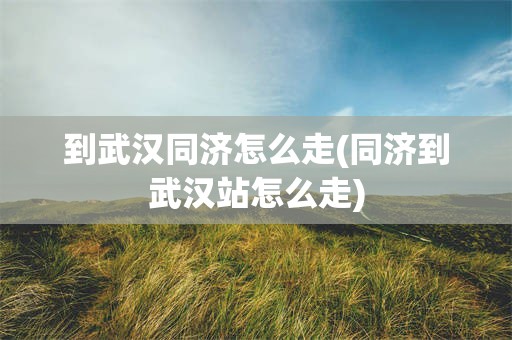 到武汉同济怎么走(同济到武汉站怎么走)