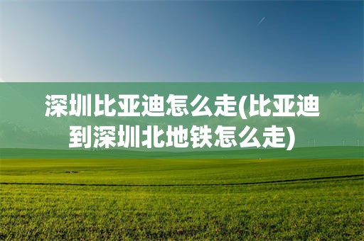 深圳比亚迪怎么走(比亚迪到深圳北地铁怎么走)