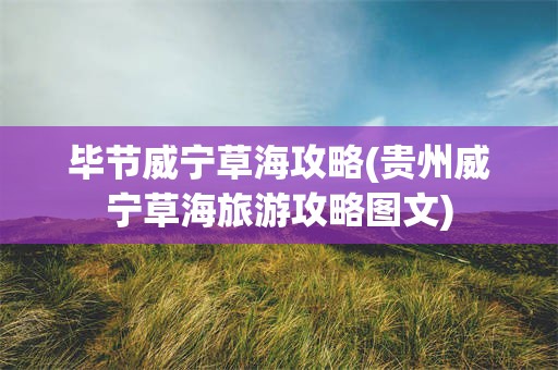 毕节威宁草海攻略(贵州威宁草海旅游攻略图文)