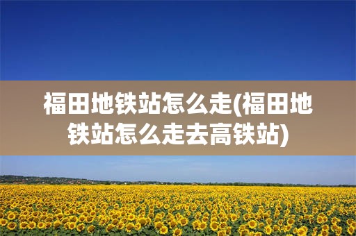 福田地铁站怎么走(福田地铁站怎么走去高铁站)