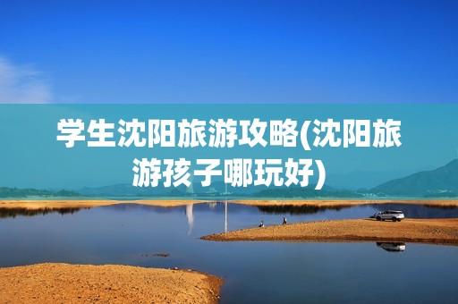 学生沈阳旅游攻略(沈阳旅游孩子哪玩好)
