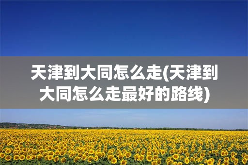 天津到大同怎么走(天津到大同怎么走最好的路线)