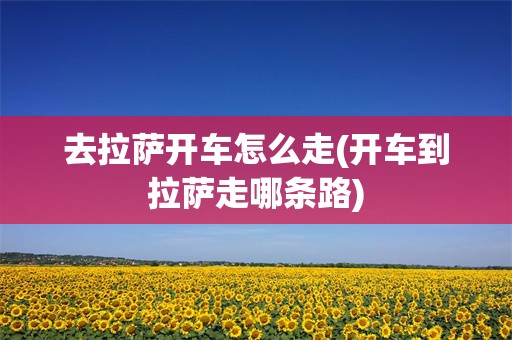 去拉萨开车怎么走(开车到拉萨走哪条路)