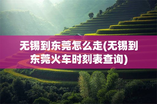 无锡到东莞怎么走(无锡到东莞火车时刻表查询)