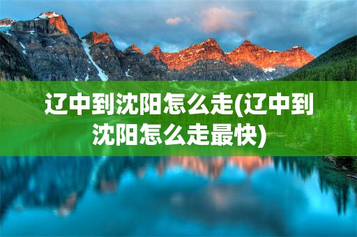 辽中到沈阳怎么走(辽中到沈阳怎么走最快)