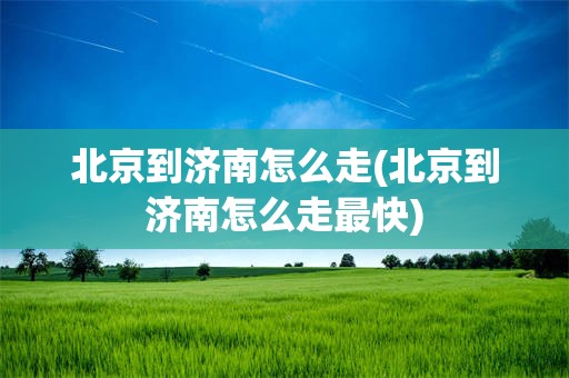 北京到济南怎么走(北京到济南怎么走最快)