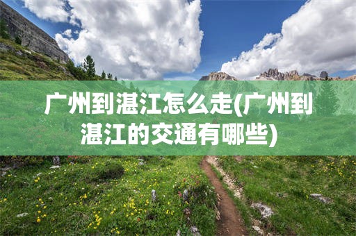 广州到湛江怎么走(广州到湛江的交通有哪些)