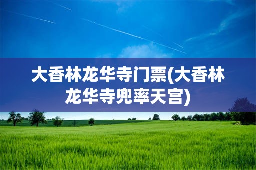 大香林龙华寺门票(大香林龙华寺兜率天宫)