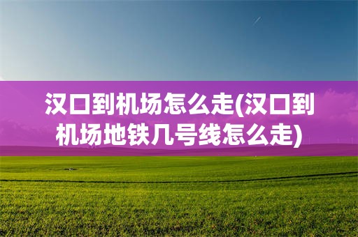汉口到机场怎么走(汉口到机场地铁几号线怎么走)