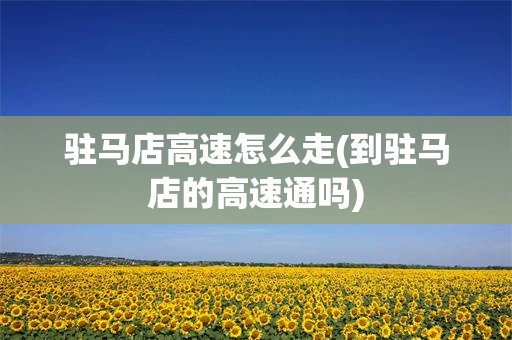 驻马店高速怎么走(到驻马店的高速通吗)