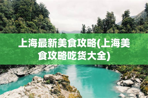上海最新美食攻略(上海美食攻略吃货大全)
