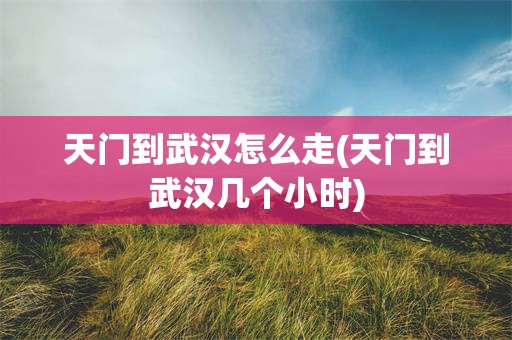 天门到武汉怎么走(天门到武汉几个小时)