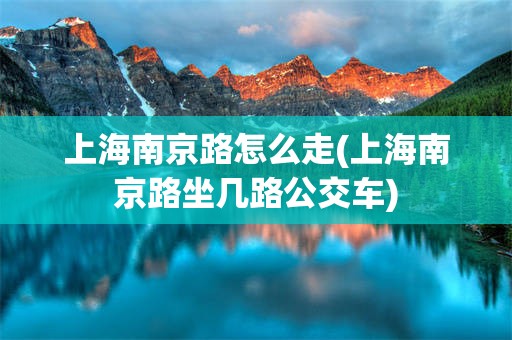 上海南京路怎么走(上海南京路坐几路公交车)