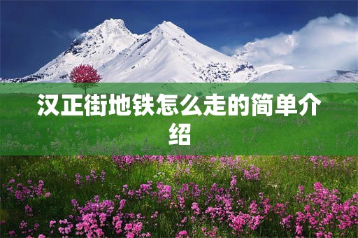 汉正街地铁怎么走的简单介绍