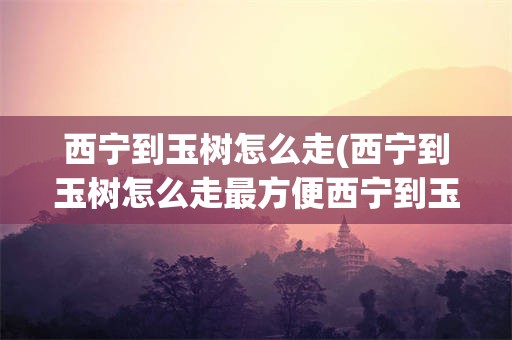 西宁到玉树怎么走(西宁到玉树怎么走最方便西宁到玉树有高速路吗)