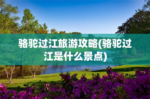 骆驼过江旅游攻略(骆驼过江是什么景点)