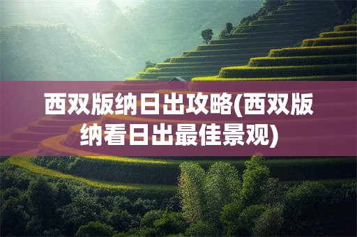 西双版纳日出攻略(西双版纳看日出最佳景观)