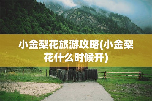 小金梨花旅游攻略(小金梨花什么时候开)