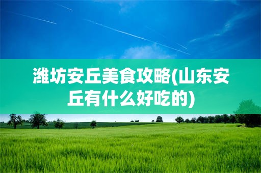 潍坊安丘美食攻略(山东安丘有什么好吃的)