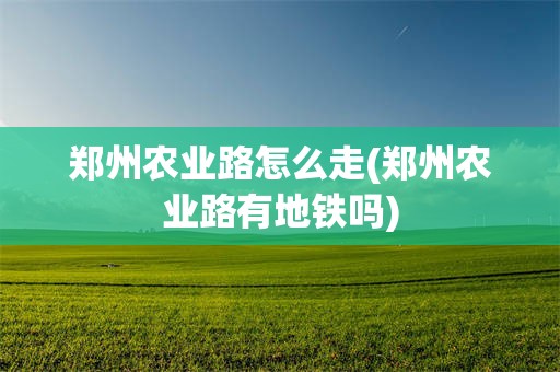 郑州农业路怎么走(郑州农业路有地铁吗)