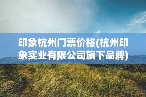 印象杭州门票价格(杭州印象实业有限公司旗下品牌)