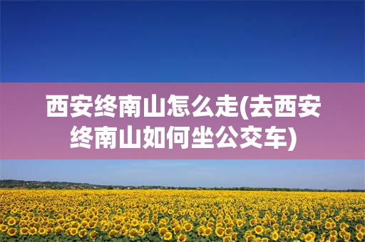 西安终南山怎么走(去西安终南山如何坐公交车)