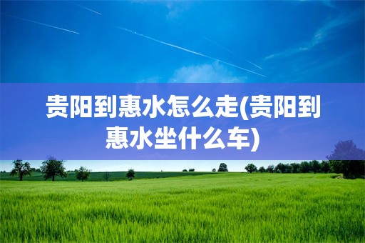 贵阳到惠水怎么走(贵阳到惠水坐什么车)