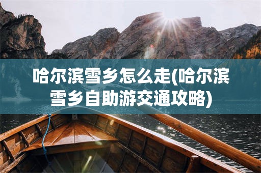 哈尔滨雪乡怎么走(哈尔滨雪乡自助游交通攻略)
