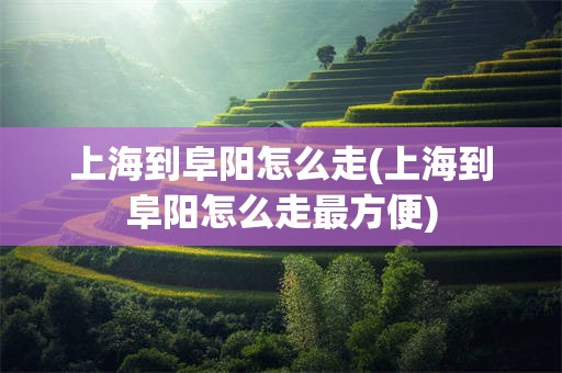 上海到阜阳怎么走(上海到阜阳怎么走最方便)