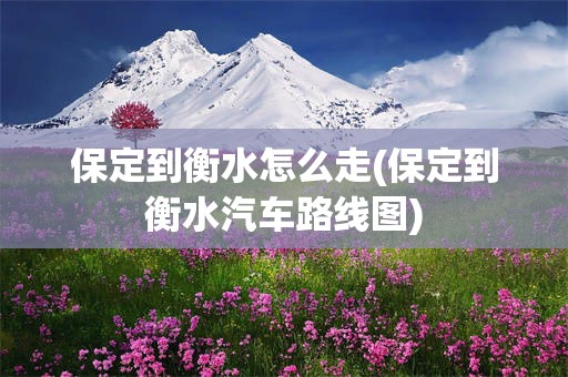 保定到衡水怎么走(保定到衡水汽车路线图)