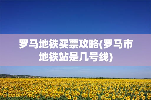 罗马地铁买票攻略(罗马市地铁站是几号线)