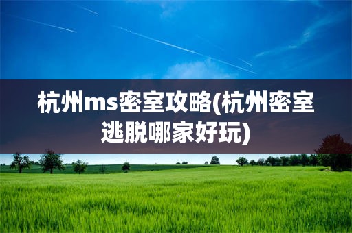 杭州ms密室攻略(杭州密室逃脱哪家好玩)