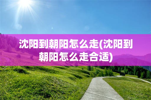 沈阳到朝阳怎么走(沈阳到朝阳怎么走合适)