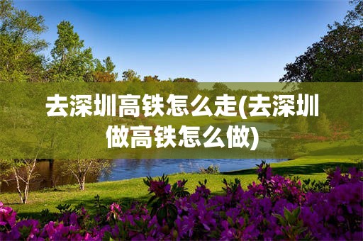 去深圳高铁怎么走(去深圳做高铁怎么做)