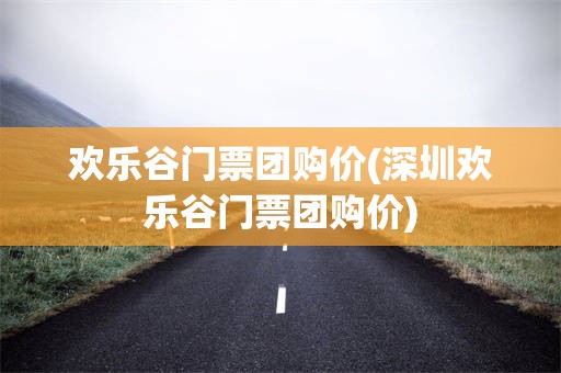 欢乐谷门票团购价(深圳欢乐谷门票团购价)