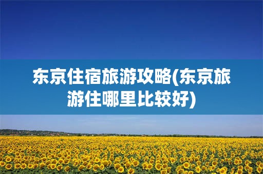 东京住宿旅游攻略(东京旅游住哪里比较好)